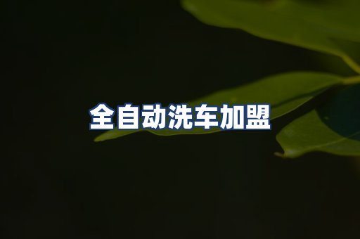 全自动洗车加盟