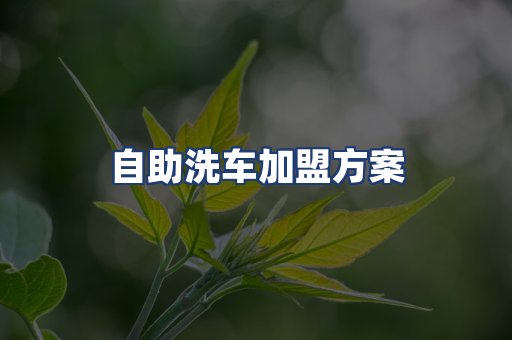 自助洗车加盟方案
